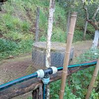 Terreno agricolo