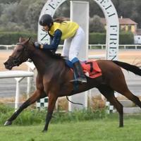 Pony araba 5 anni bravissima montata