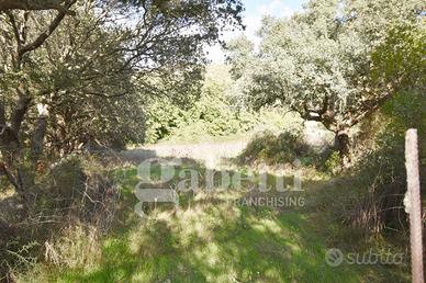 Terreno Residenziale Sant'Antonio di Gallura