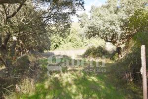Terreno Residenziale Sant'Antonio di Gallura