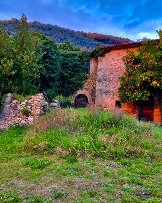 Rudere con terreno