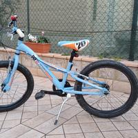 Bicicletta 