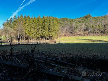 Terreno agricolo tra la Priò e Tres