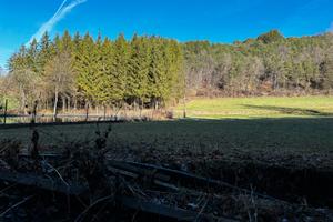 Terreno agricolo tra la Priò e Tres
