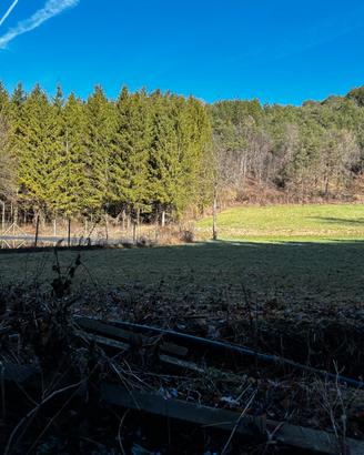 Terreno agricolo tra la Priò e Tres