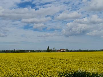 Rif.3066| rustico fossombrone