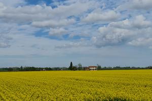 Rif.3066| rustico fossombrone