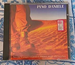 Pino Daniele " Non calpestare i fiori nel deserto"