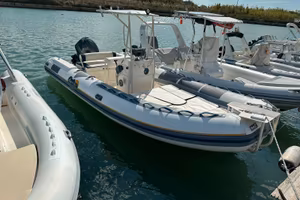 BWA AMERICA 650