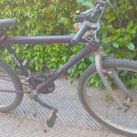 Mountain Bike in buono stato
