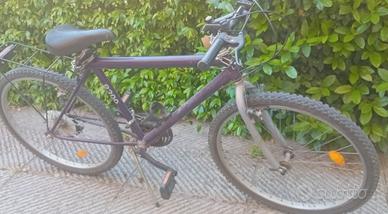 Mountain Bike in buono stato