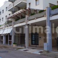 Negozio Gallipoli [Cod. rif 3295536ACG]