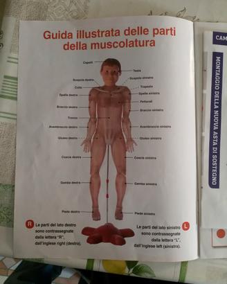 Il Corpo Umano - Collezione