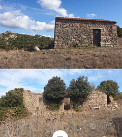 47 ettari agricoli Aggius con stazzi