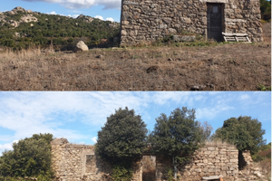 47 ettari agricoli Aggius con stazzi