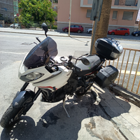 Tiger Sport 1050