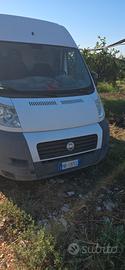 Ducato Maxi tetto alto