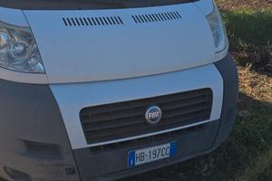 Ducato Maxi tetto alto