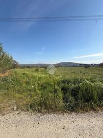 TER. AGRICOLO A ORTE