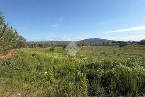 TER. AGRICOLO A ORTE