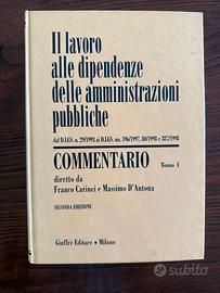 Il lavoro alle dipendenze delle amm. pubbliche