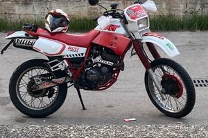 Xt 600