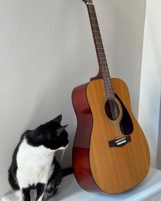 Chitarra acustica - Yamaha F310