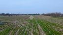 ter-agricolo-a-mirano