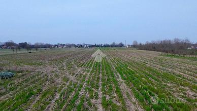 TER. AGRICOLO A MIRANO