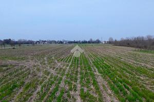 TER. AGRICOLO A MIRANO