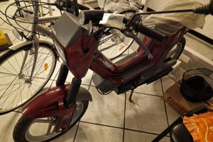 Atala master del 92'