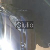 Peugeot 807 blu ricambi