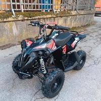 Miniquad Renegade 50 r6