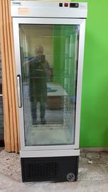vetrina temperatura negativa tecna 450 litri