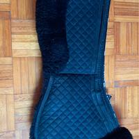 Agnellino salvagarrese umbria equitazione