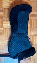 Agnellino salvagarrese umbria equitazione