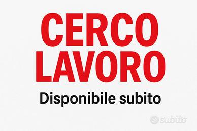 Lavoro - disponibile da subito