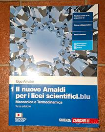 Il nuovo Amaldi per I licei ei scientifici.blu  1
