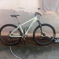 bici megamo verde acqua 29