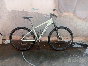 bici megamo verde acqua 29