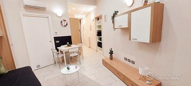 Monolocale ristrutturato