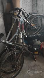 Due mountain bike usate