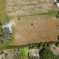 Latina (LT) - Terreno di 4000 mq con pozzo | TR424