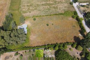 Latina (LT) - Terreno di 4000 mq con pozzo | TR424