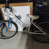 bici MTB donna Magnum