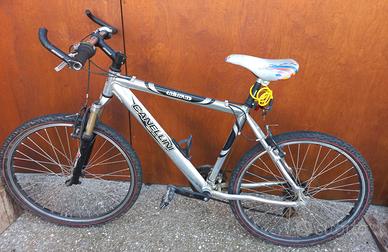 Mountain bike