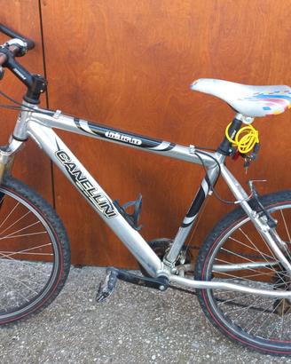 Mountain bike