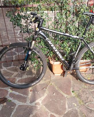 MTB  Cannondale