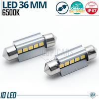 Lampadine LED SILURO 36mm C5W C10W CANbus 6500K
