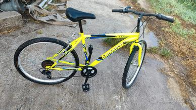 bicicletta 